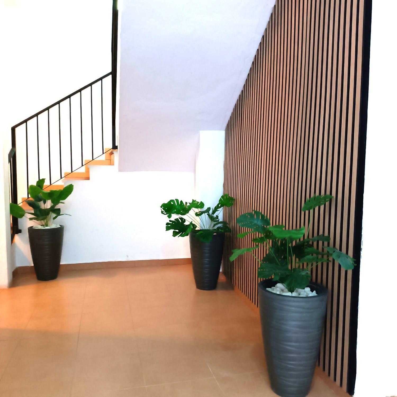 Apartamentos Calle Nueva Malaga Ngoại thất bức ảnh
