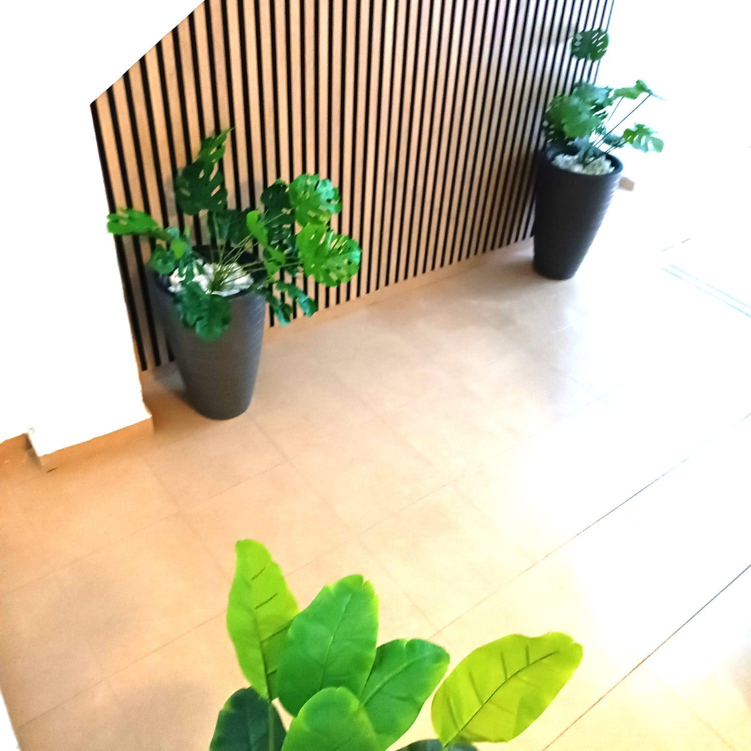 Apartamentos Calle Nueva Malaga Ngoại thất bức ảnh